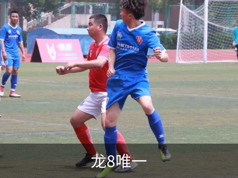 走进龙8唯一